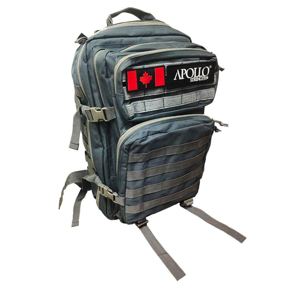 Gray and teal backpack sales